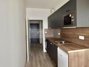 Pronájem bytu 1+kk, Plzeň, Goldscheiderova, 34 m2