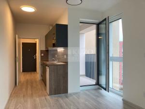 Pronájem bytu 1+kk, Plzeň, Goldscheiderova, 34 m2