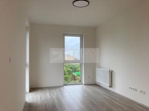 Pronájem bytu 1+kk, Plzeň, Goldscheiderova, 34 m2