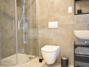 Pronájem bytu 1+kk, Plzeň, Goldscheiderova, 34 m2