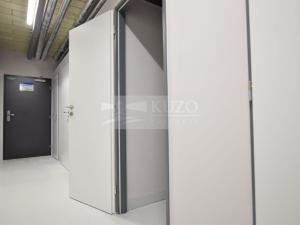 Pronájem bytu 1+kk, Plzeň, Goldscheiderova, 34 m2