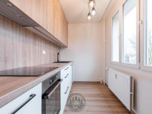 Pronájem bytu 3+1, Sokolov, Švabinského, 66 m2