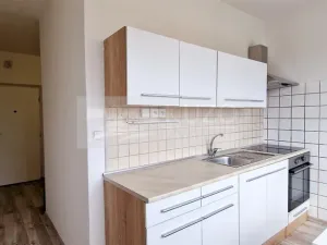 Pronájem bytu 2+1, Chomutov, Cihlářská, 53 m2