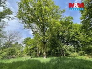 Prodej zahrady, Jeníkov - Oldřichov, 1999 m2