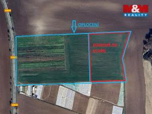 Prodej pole, Nové Dvory, 9979 m2