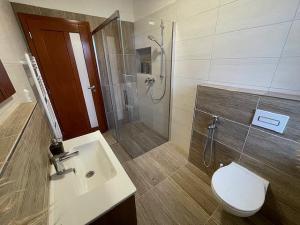 Pronájem bytu 3+kk, Liberec - Liberec I-Staré Město, Bendlova, 81 m2