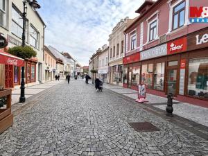 Pronájem obchodního prostoru, Louny, Pražská, 100 m2