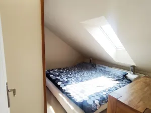 Pronájem bytu 2+kk, Ostrava, Daliborova, 80 m2