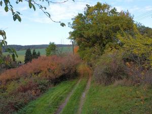 Prodej chaty, Černé Voděrady, Dolina, 52 m2