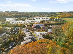 Prodej bytu 1+1, Týnec nad Sázavou, Na Kněžině, 39 m2