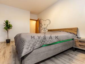 Pronájem bytu 3+kk, České Budějovice - České Budějovice 3, Riegrova, 80 m2