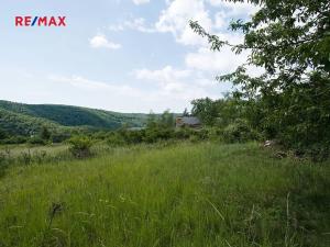 Prodej louky, Štěchovice, 4332 m2