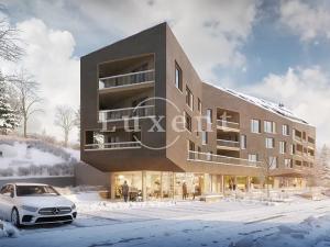 Prodej bytu 3+kk, Železná Ruda, 71 m2