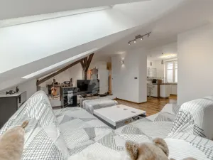 Prodej bytu 2+1, Ostrava - Vítkovice, Sovova, 86 m2