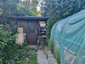 Prodej chaty, Hradec Králové - Plácky, Zahrádkářská osada U Labe, 38 m2