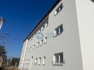 Pronájem bytu 1+kk, Doloplazy, 45 m2