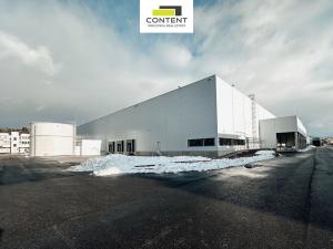 Pronájem skladu, Valašské Meziříčí - Krásno nad Bečvou, Zašovská, 8000 m2