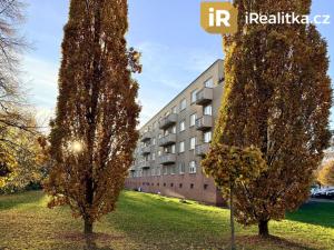Prodej bytu 2+1, Hradec Králové, Labská kotlina, 58 m2