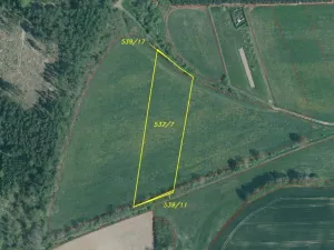 Dražba louky, Srby, 19946 m2