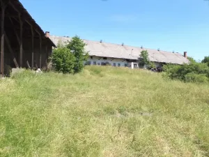 Dražba louky, Přeštěnice, 2817 m2