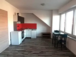 Pronájem bytu 1+kk, České Budějovice - České Budějovice 3, Riegrova, 40 m2