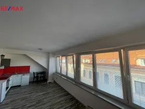 Pronájem bytu 1+kk, České Budějovice - České Budějovice 3, Riegrova, 40 m2