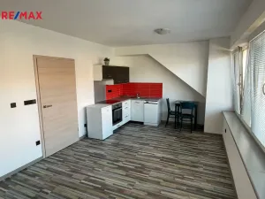 Pronájem bytu 1+kk, České Budějovice - České Budějovice 3, Riegrova, 40 m2