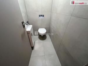 Pronájem bytu 3+kk, Boršice, 77 m2