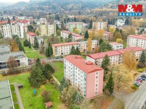 Pronájem bytu 1+kk, Mariánské Lázně - Úšovice, Tepelská, 20 m2