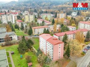 Pronájem bytu 1+kk, Mariánské Lázně - Úšovice, Tepelská, 20 m2