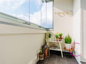 Prodej bytu 3+1, Jihlava - Horní Kosov, Jarní, 70 m2