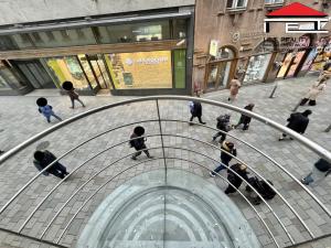 Pronájem obchodního prostoru, Brno, Česká, 161 m2