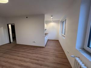 Pronájem bytu 1+kk, Pardubice - Zelené Předměstí, Na Spravedlnosti, 32 m2