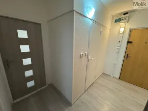 Pronájem bytu 2+kk, Most, Albrechtická, 40 m2