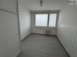 Pronájem bytu 2+kk, Most, Albrechtická, 40 m2