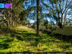 Prodej pozemku pro bydlení, Olomouc - Svatý Kopeček, 1243 m2