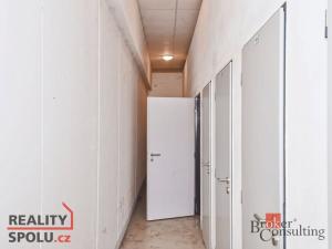 Pronájem bytu 1+kk, Praha - Libeň, Matějkova, 49 m2