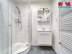 Pronájem bytu 2+kk, Litvínov - Horní Litvínov, U Zámeckého parku, 42 m2