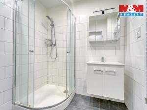 Pronájem bytu 2+kk, Litvínov - Horní Litvínov, U Zámeckého parku, 42 m2