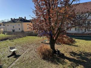 Prodej bytu 3+1, Hodonín, P. Jilemnického, 82 m2