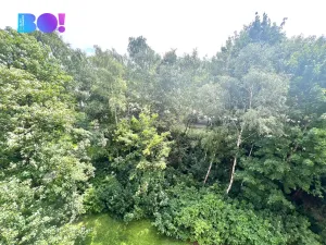 Prodej bytu 1+kk, Ostrava, Bohumínská, 25 m2