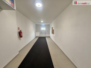 Pronájem bytu 2+kk, Mlékojedy, 55 m2