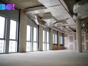 Pronájem komerční nemovitosti, Praha, Veletržní, 374 m2