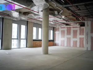 Pronájem komerční nemovitosti, Praha, Veletržní, 374 m2