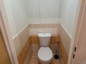 Pronájem bytu 1+1, Chomutov, Holešická, 42 m2