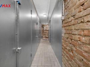 Pronájem bytu 2+1, Praha - Žižkov, Biskupcova, 47 m2