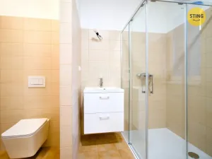 Pronájem kanceláře, Hodonín, Brandlova, 54 m2