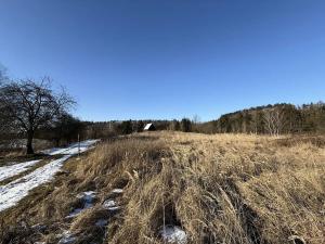 Prodej pozemku pro bydlení, Radnice, Puchmajerova, 850 m2