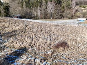 Prodej pozemku pro bydlení, Radnice, Puchmajerova, 850 m2