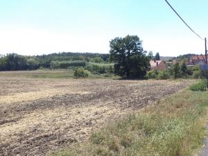 Prodej pozemku, Podbořany - Kněžice, 1801 m2